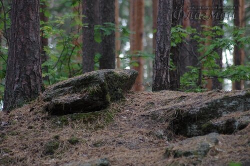 IMGP1583_r